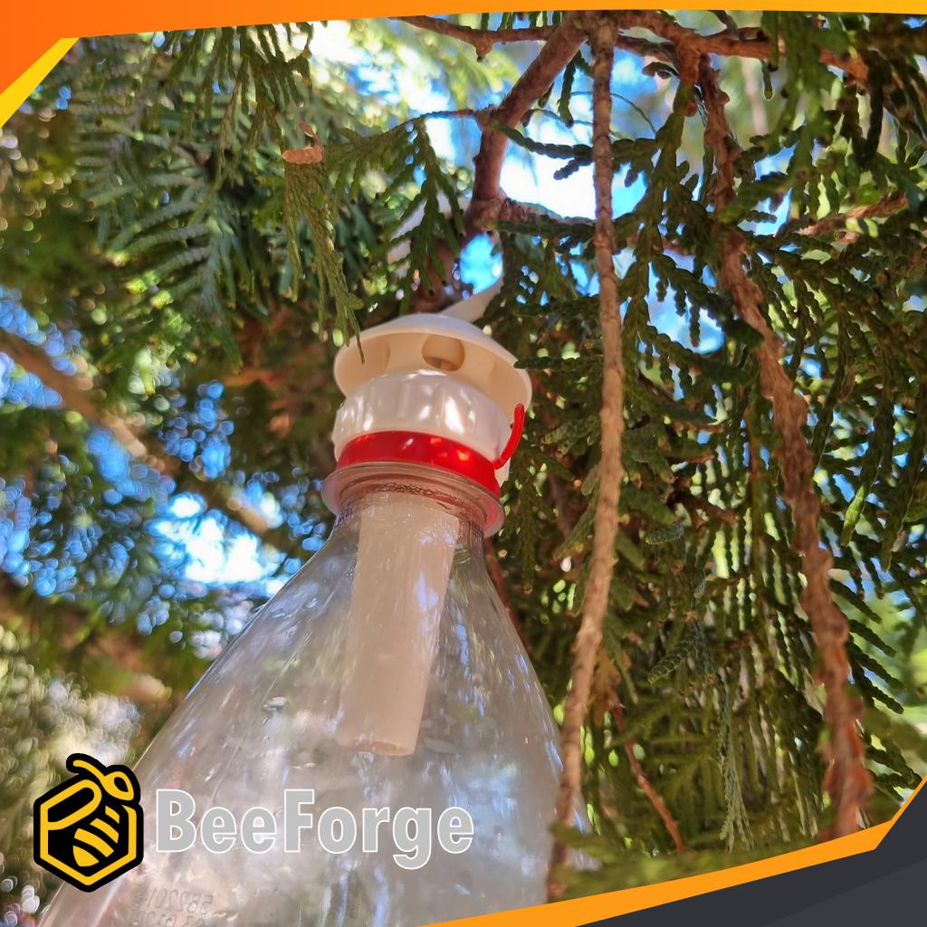 Getingfälla för PET-flaska hängande i ett träd för att skydda bigården.