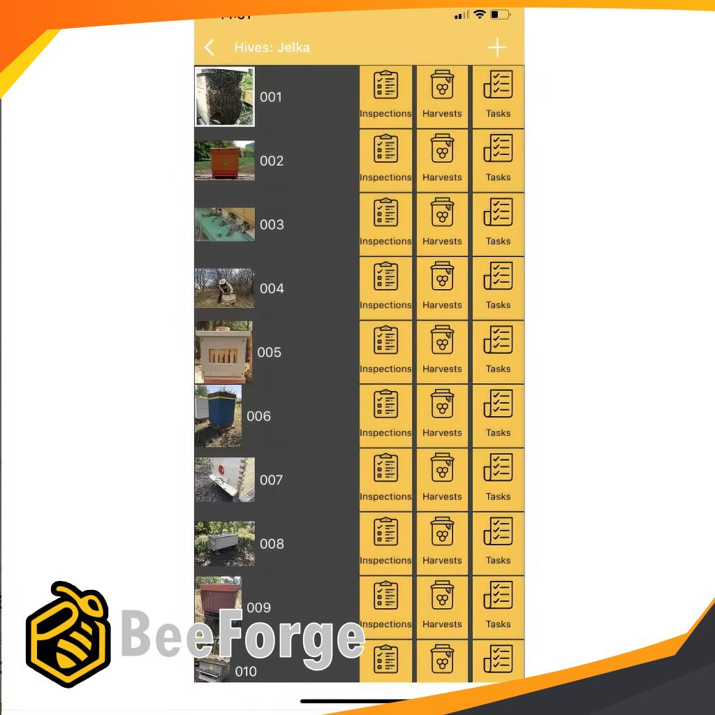 Kupvåg i trä – Stabil våg för bisamhälle