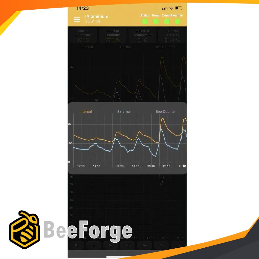 Kupvåg i trä – Stabil våg för bisamhälle