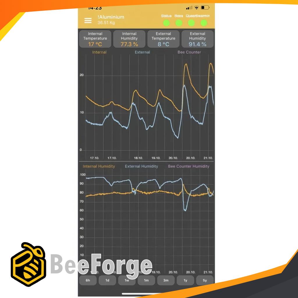 kupvag-for-ett-bisamhalle-i-tra_6