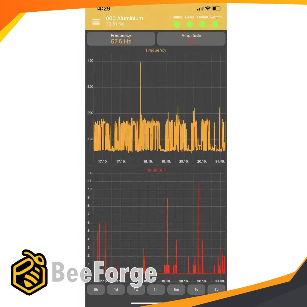 Kupvåg i trä – Stabil våg för bisamhälle